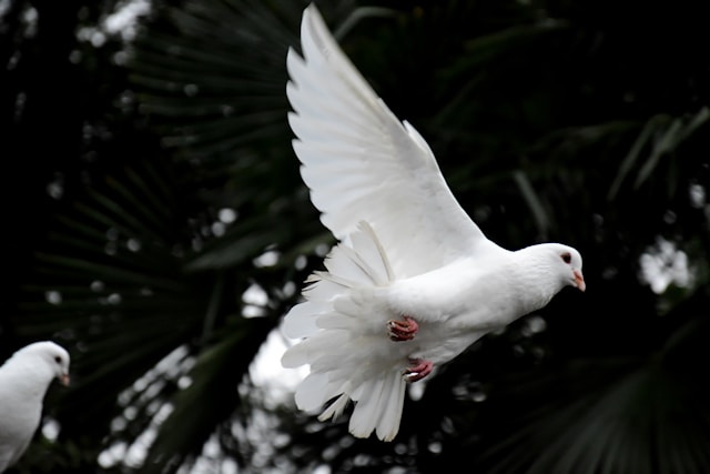 Who is the Holy Spirit?